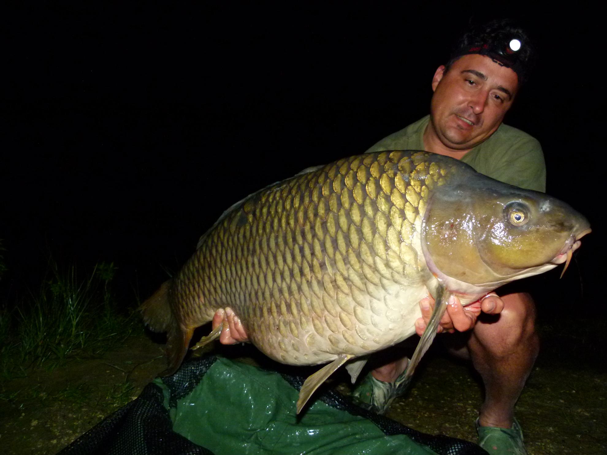 PDB 2013 - 21,500 kg